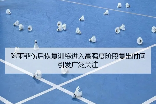 陈雨菲伤后恢复训练进入高强度阶段复出时间引发广泛关注